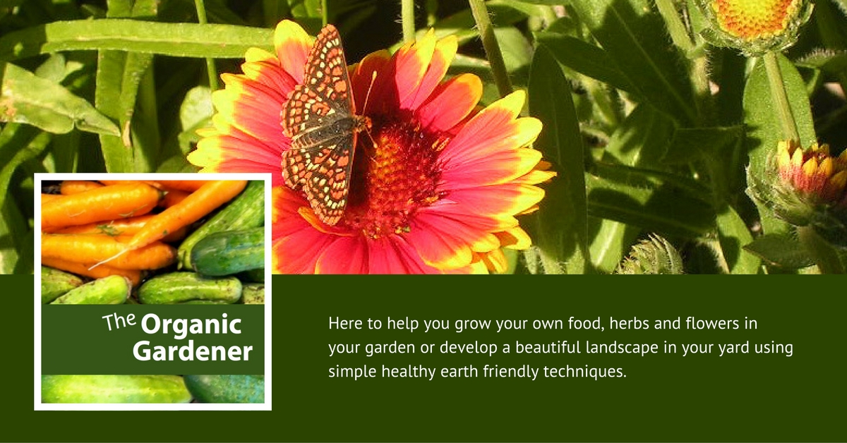 GREEN Organic Gardener Podcast