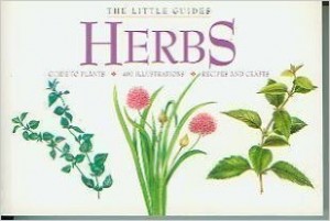 Little Guide To Herbs