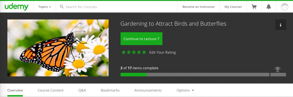 Gardening to Attract Birds and Butterflies