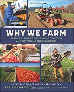 Why We Farm by Elvira Di'Brigit