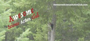 AwesomeScienceActionClubLogo