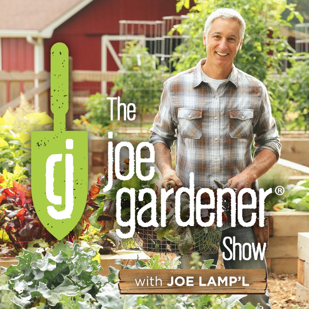 Joe Gardener Show with Joe Lamp'l
